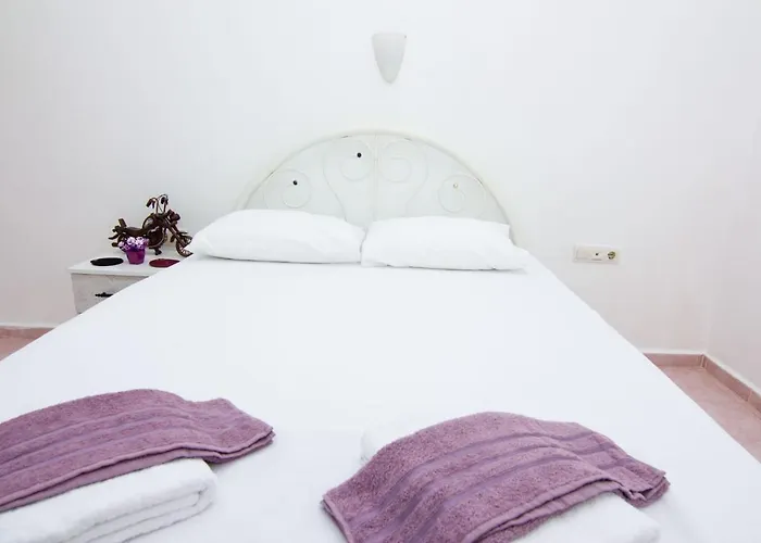 Deep Purple Bikers Hostel *