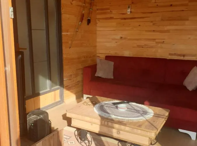 Deep Purple Bikers * Fethiye