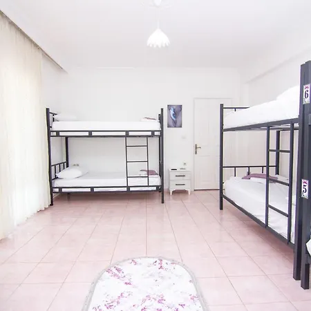 Deep Purple Bikers 费特希耶