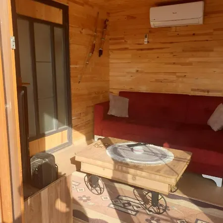 Deep Purple Bikers * 费特希耶