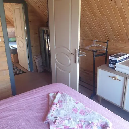 Deep Purple Bikers * 费特希耶